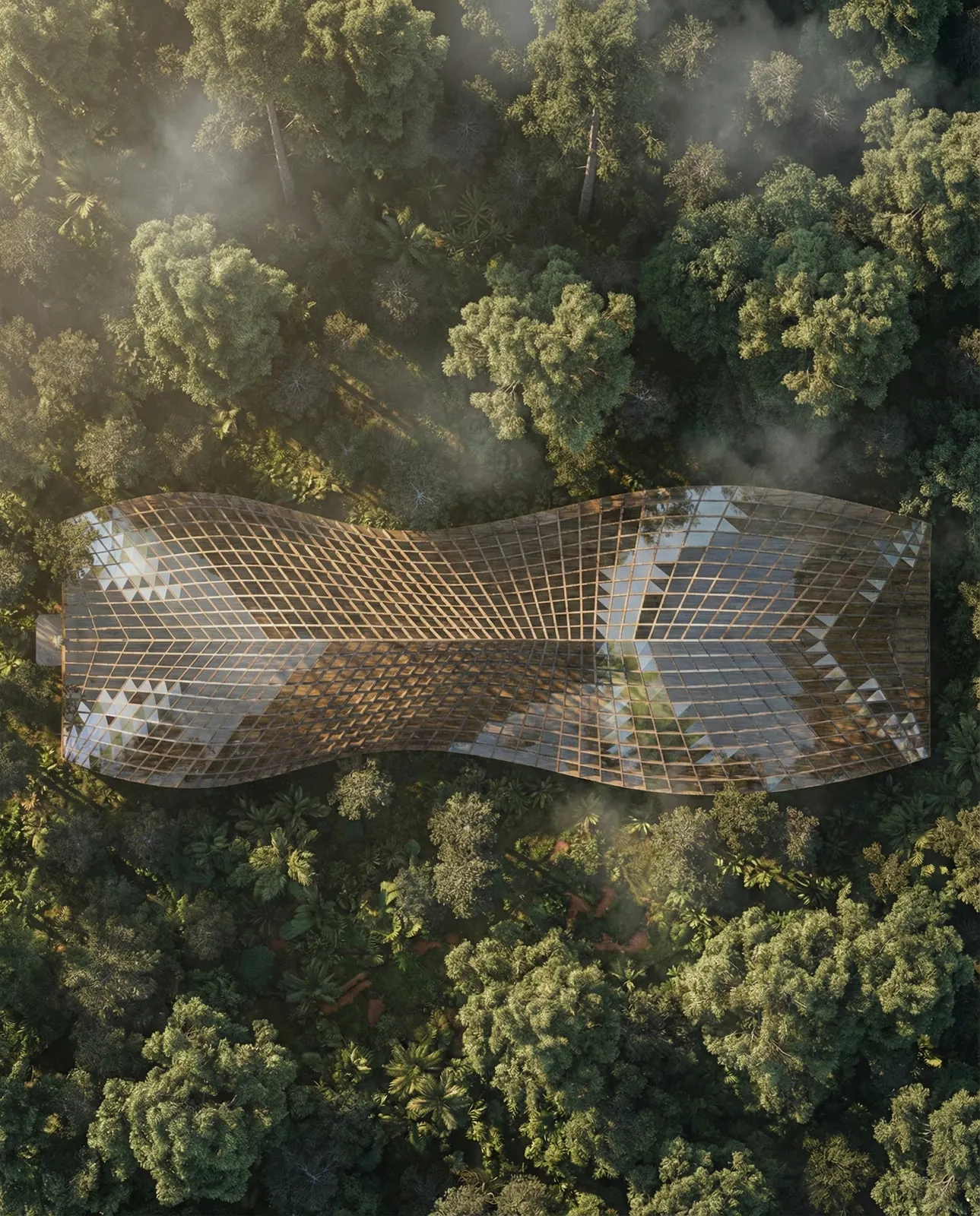 Parametric canopy over jungle canopy